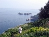 Sark