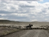 Chileens Vuurland