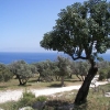 landschaft-akamas