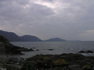 Niarbyl Bau