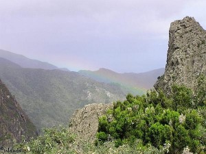 La Gomera - In de bergen