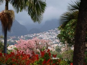 Bloemeneiland Madeira