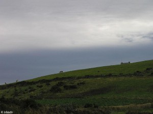 Groene weiden op Isle of Man