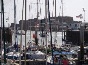 drukte in de haven