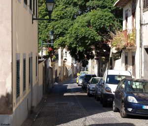 De oude stad van Funchal