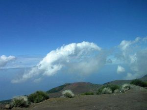 In het nationaal park van Tenerife