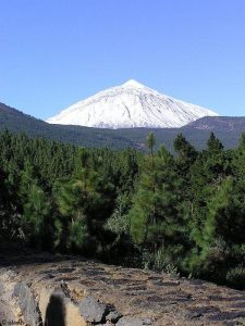 Zicht op de Teide