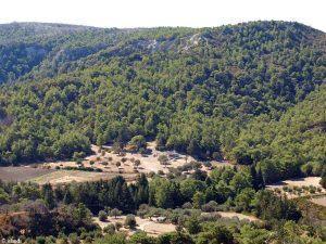 De natuur van Rhodos