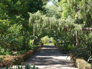 De Jardin Botanico in Puerto de la Cruz