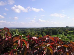 landschap/landscape