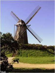 windmolen/windmill