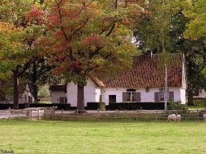 boerderij/farm