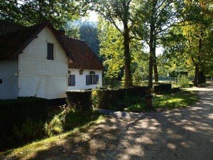 boerderij/farm