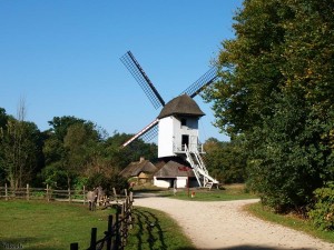 windmolen/windmill