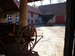 boerderij/farm