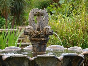 Ventnor Botanic Garden