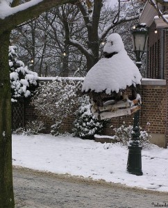 voederhuisje/birdtable