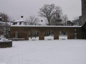 sneeuw/snow