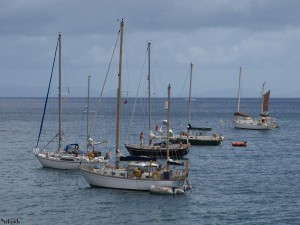 haven funchal madeira