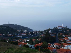 madeira