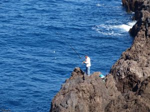 Vissen op Madeira