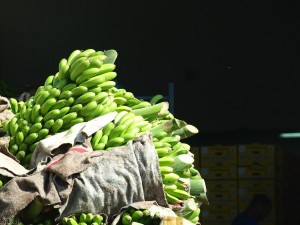 bananen/bananas