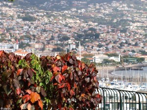 funchal