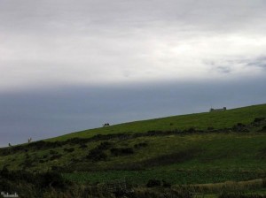 landschap/landscape