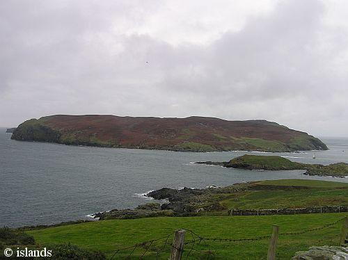 Calf of Man