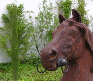 paard/horse