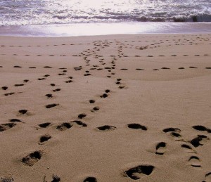 voetstappen/footprints