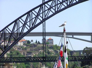 3 bruggen in Porto