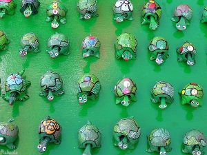 Schildpadjes