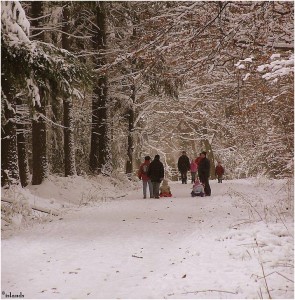 sneeuw/snow