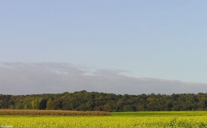 landschap/landscape