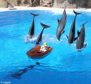 Loro Parque Teneriffa