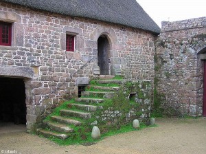 Bauernhof Insel Jersey