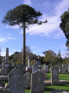 Der Friedhof van St. Brelade