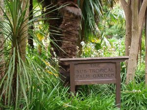 Der Botanische Garten der Insel Wight