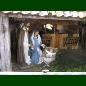 Image 19