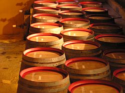Madeira wijnen