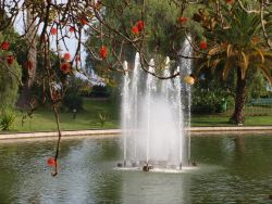 Santa Catarina Park Funchal