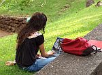 Studeren in het park