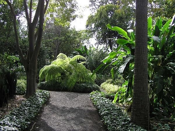Botanische tuin van Tenerife