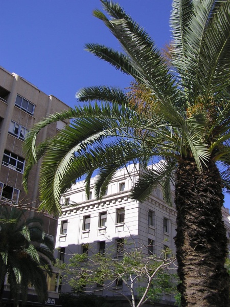 Santa Cruz de Tenerife